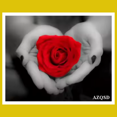 A ROSE FOR YOU BLACK AND RED SERIES PAINT BY NUMBER