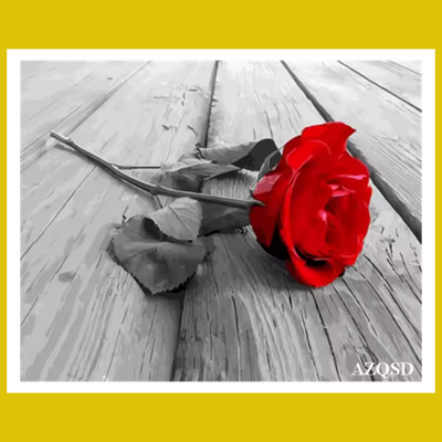RED ROSE ON DECK BLACK AND RED SERIES PAINT BY NUMBER