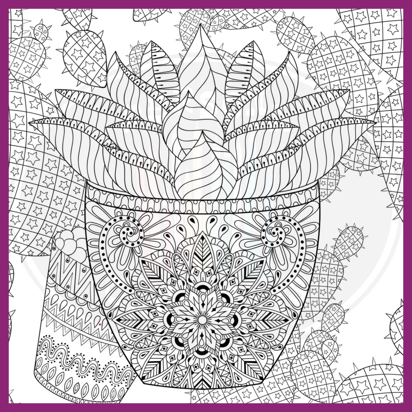 SUCCULENTS COLORING BOOK
