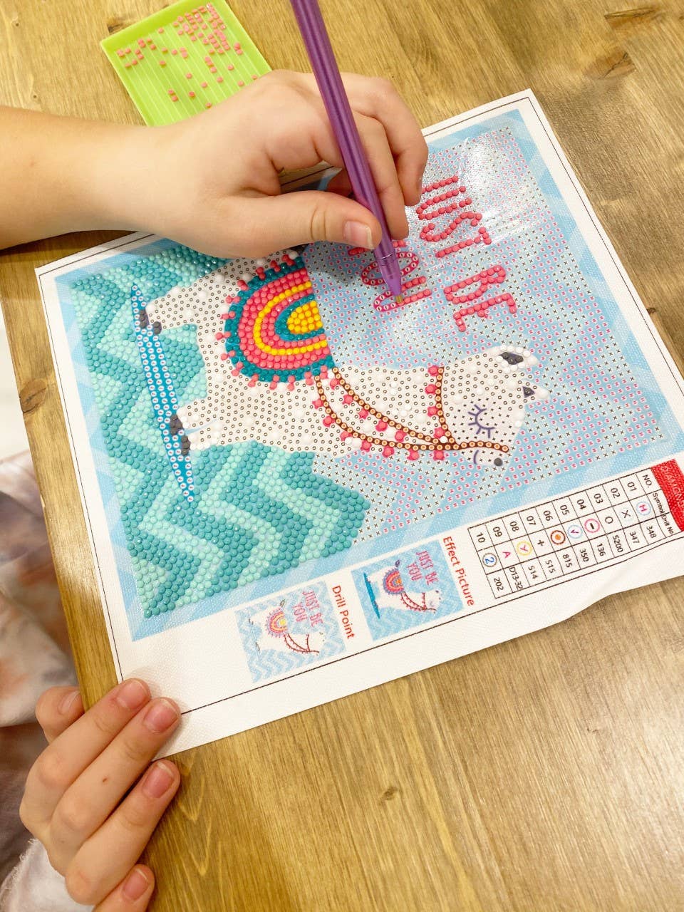 Llama Diamond Art Kit With Frame