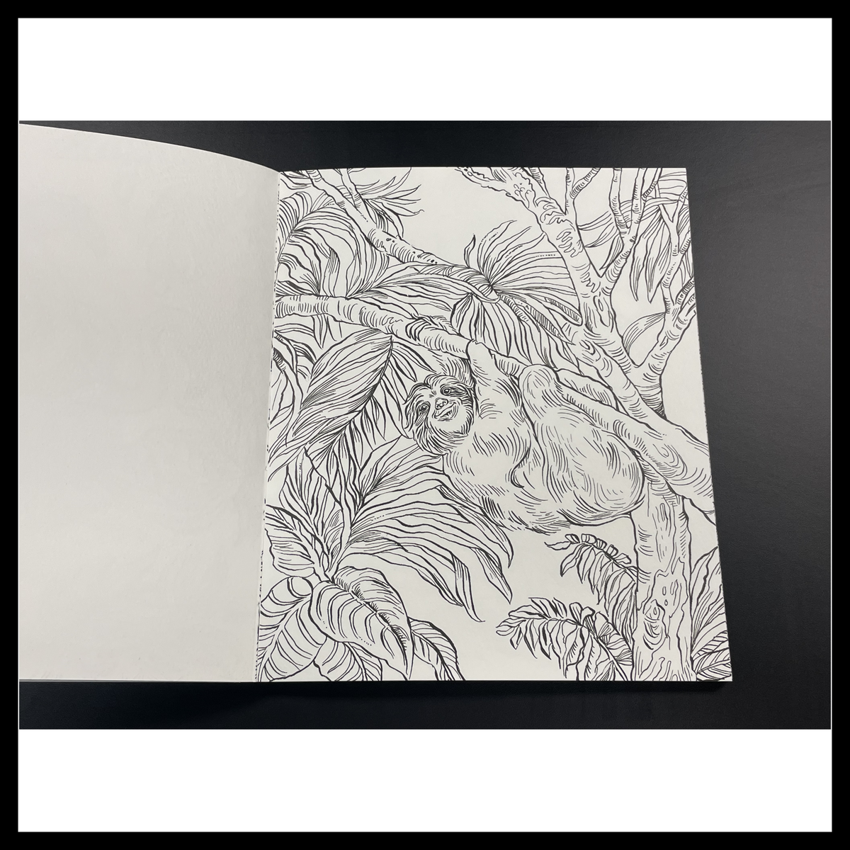 Rainforest Watercolor: A Coloring Workbook