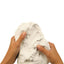 PLUS Clay - Self Hardening 2.2 lb. (1 kg.)