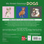 My Sticker Paintings: Dogs - 10 Incredible Canines