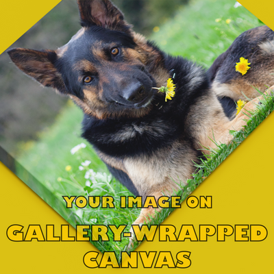 YOUR PHOTO ON QUALITY CANVAS (*make selections for price*)