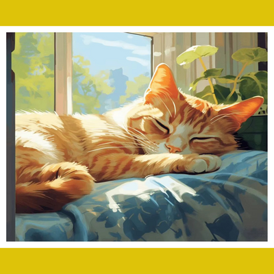 A paint-by-number kit image featuring a sleeping orange and white cat on a blue surface with a bright window in the background.
