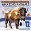 National Parks of N.America AMAZING ANIMALS Sticker Painting