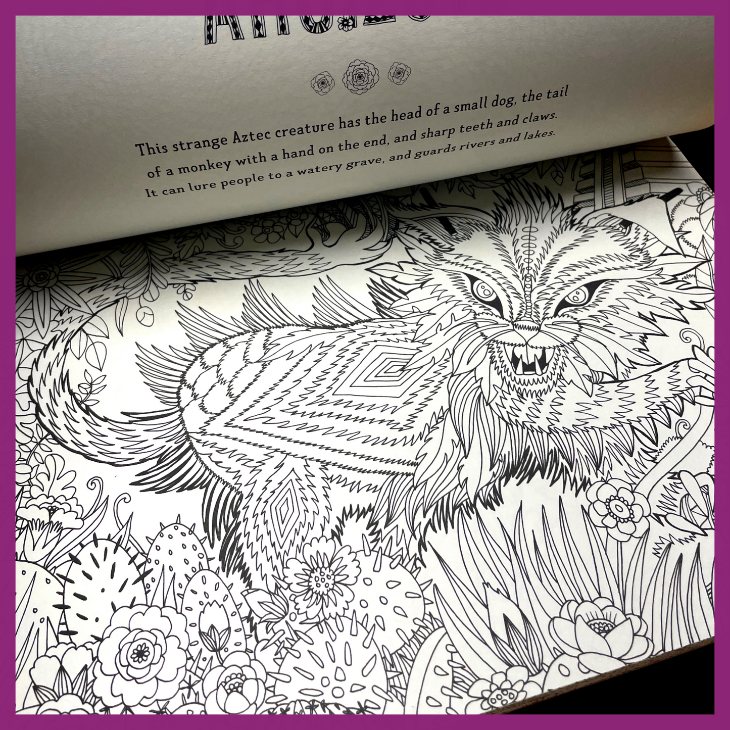 MYTH WORLD COLORING BOOK: FANTASTICAL BEASTS TO COLOR AND EXPLORE