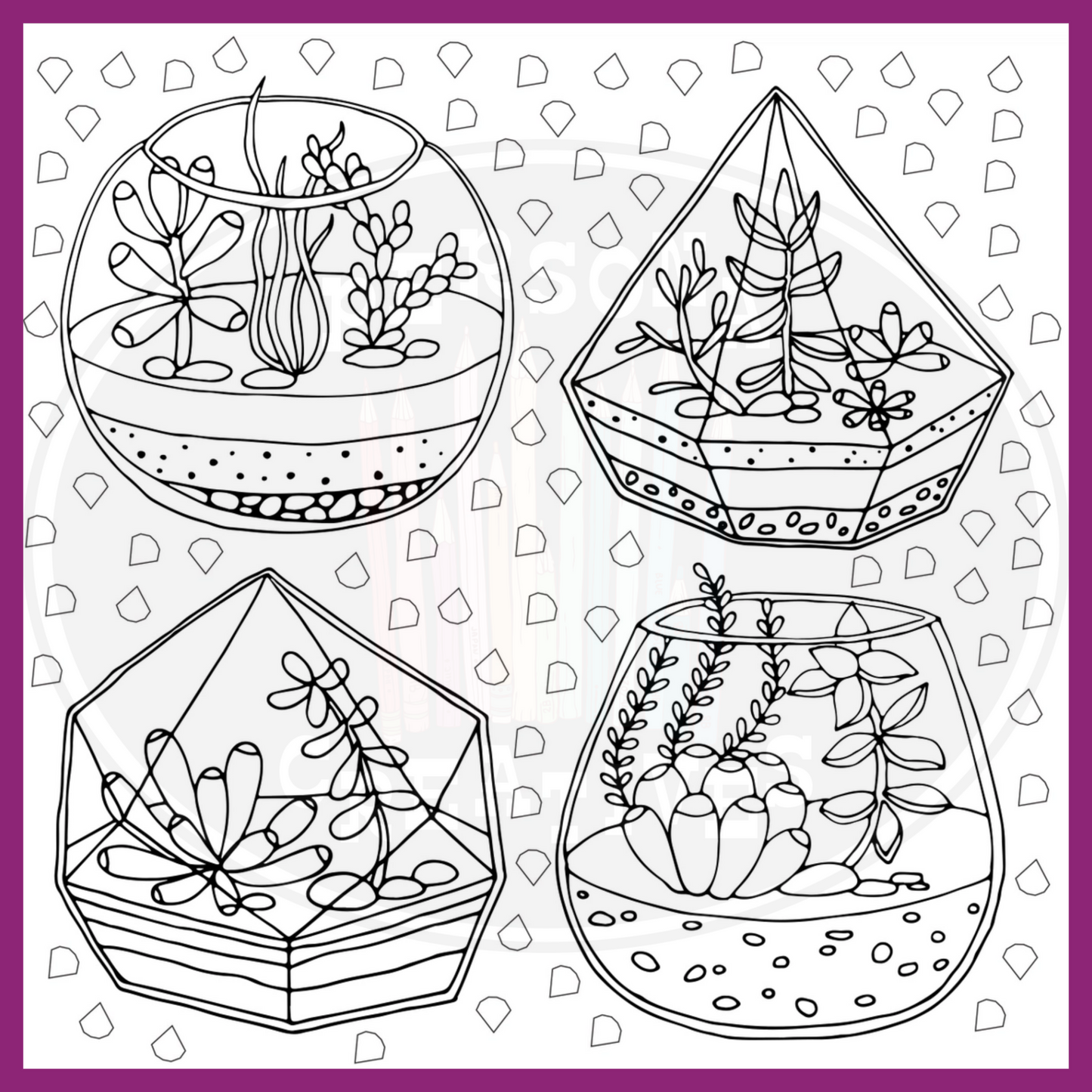 SUCCULENTS COLORING BOOK