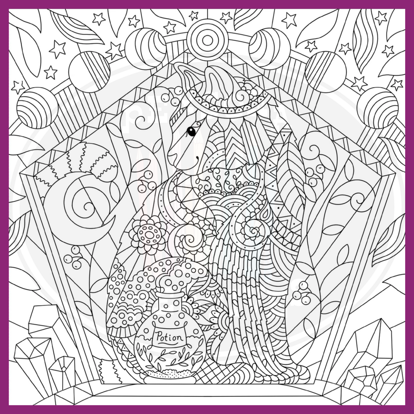 WITCHCRAFT & WONDER COLORING BOOK