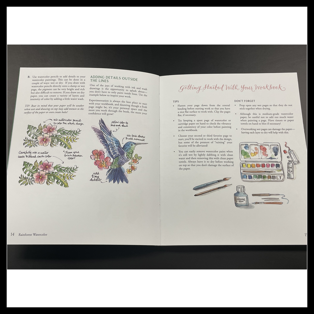 Rainforest Watercolor: A Coloring Workbook