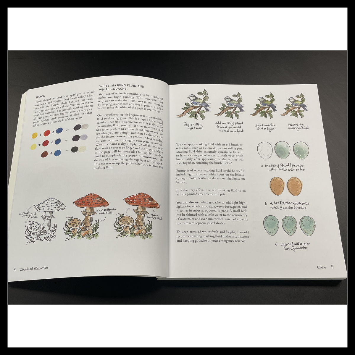 Woodland Watercolor: A Coloring Workbook