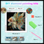 ANGEL FISH DIAMOND PAINTING KIT - PARTIAL/SPECIAL 12x12