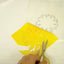 Silicone Release Paper by
