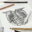 Charcoal Sketch Set for Drawing