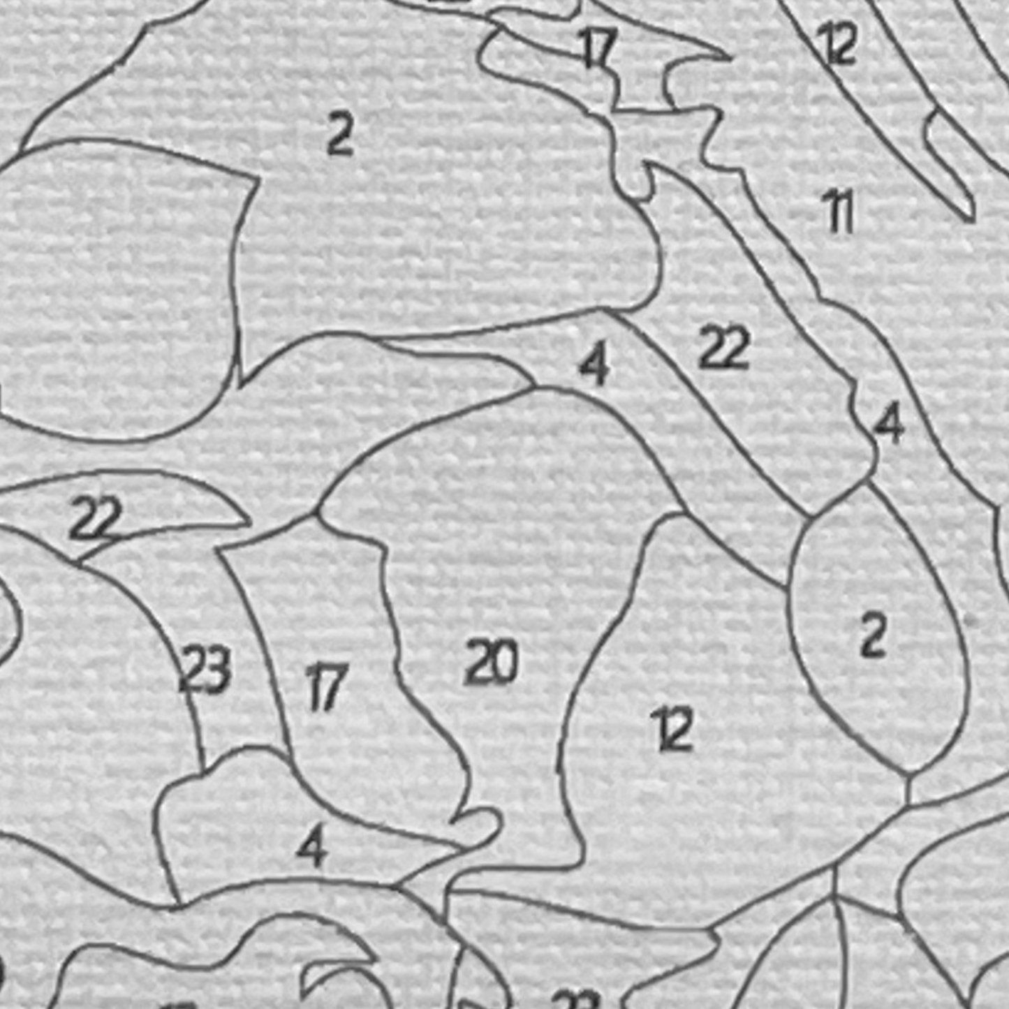 Closeup of paint by number canvas showing canvas texture and numbers