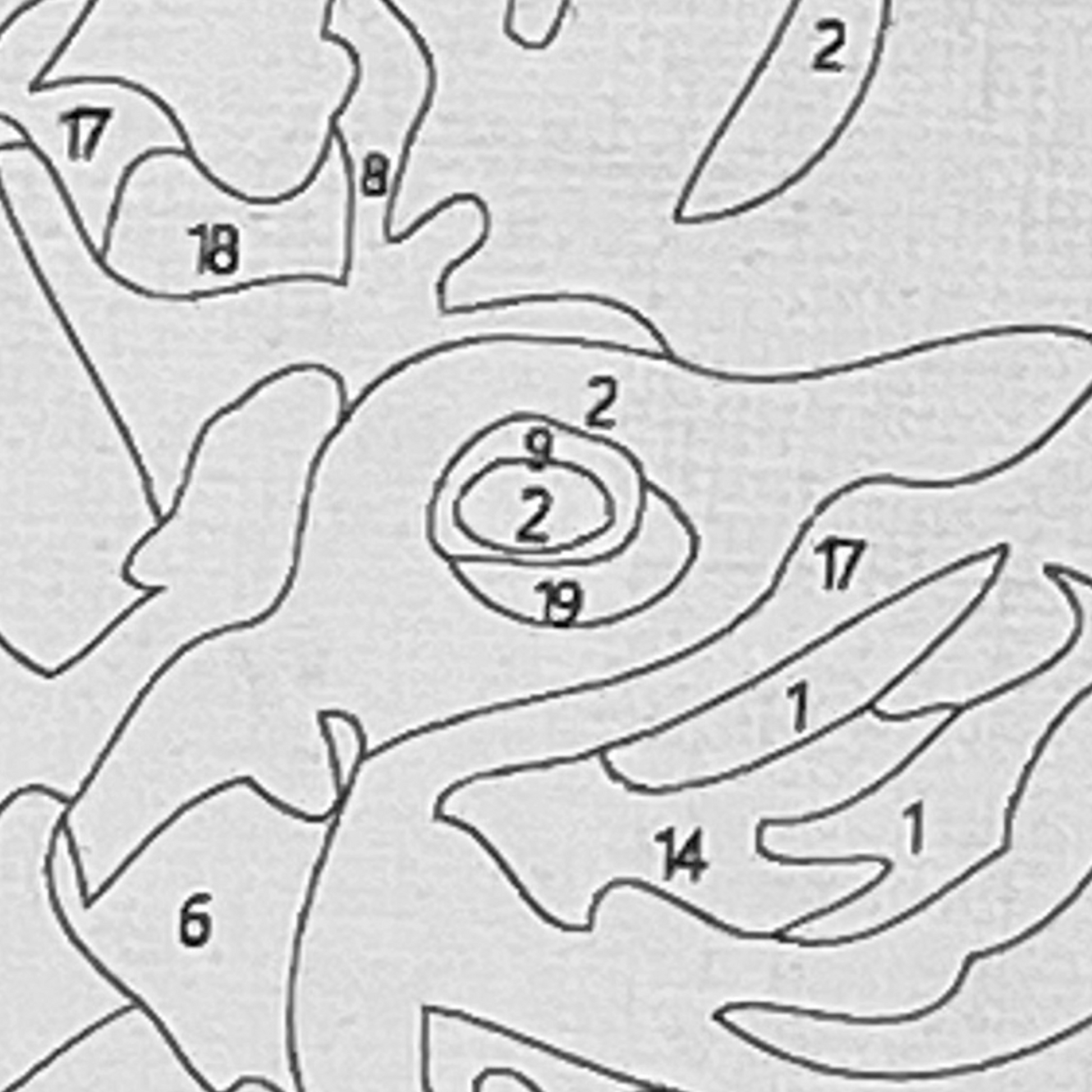 Closeup of paint by number canvas showing canvas texture and numbers
