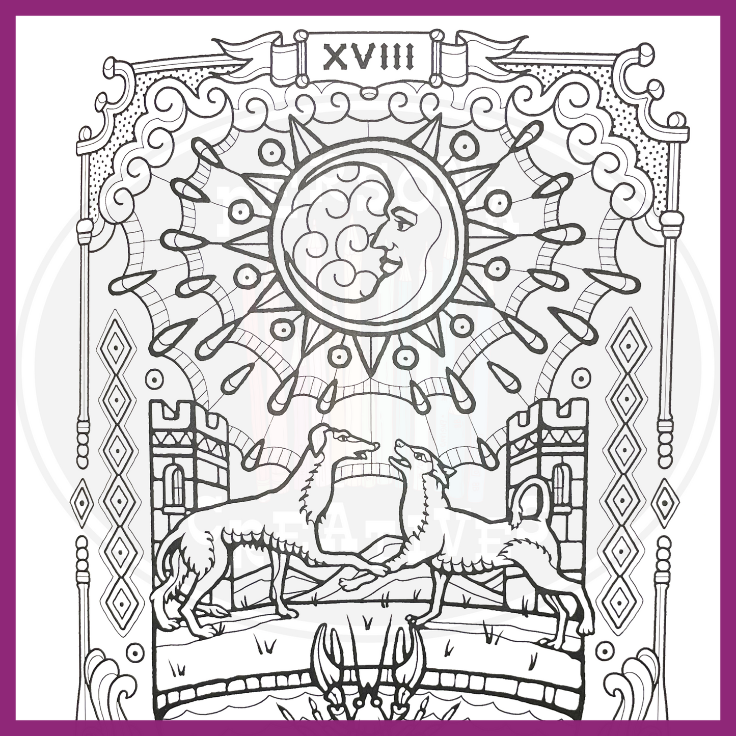 THE TAROT COLORING BOOK