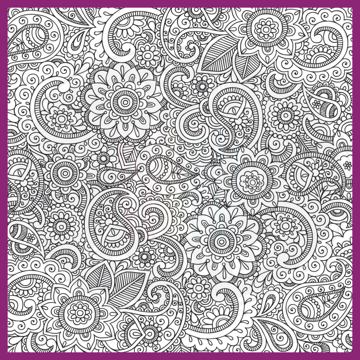 PEACEFUL PAISLEYS COLORING BOOK