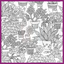 SUCCULENTS COLORING BOOK