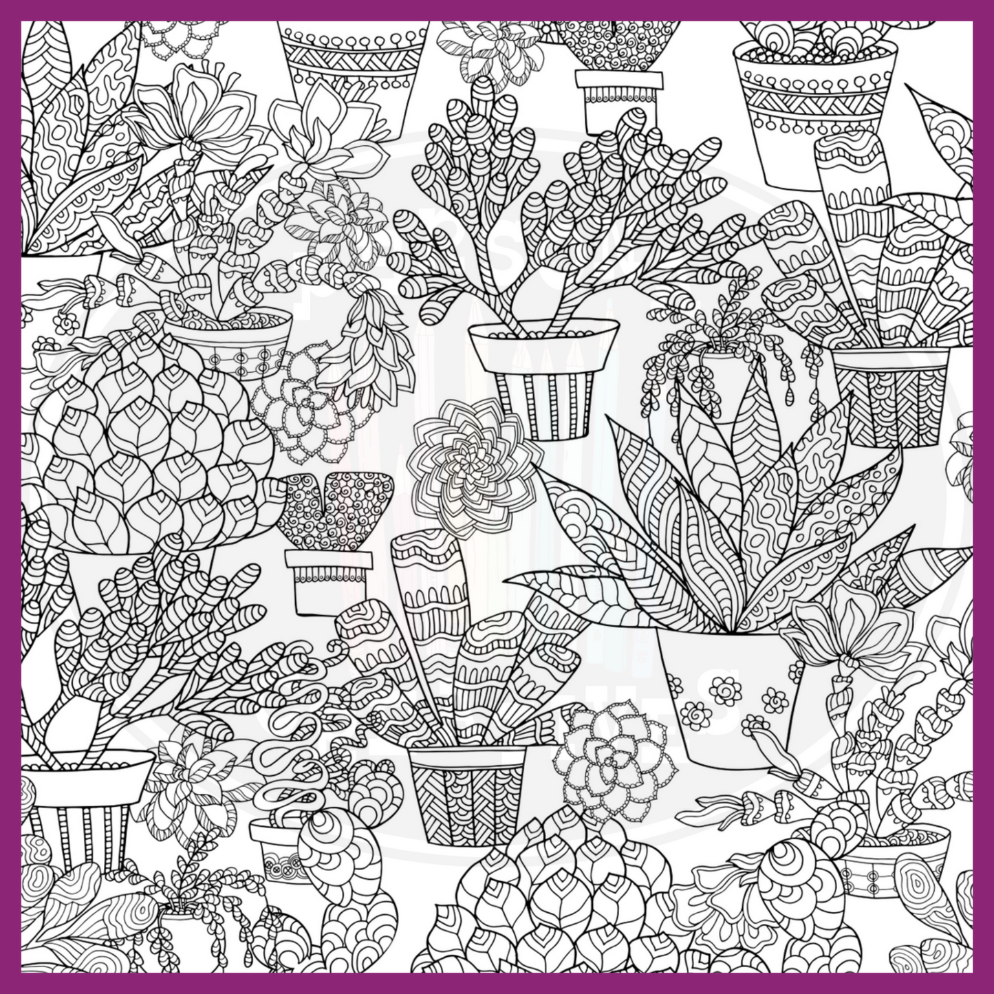 SUCCULENTS COLORING BOOK