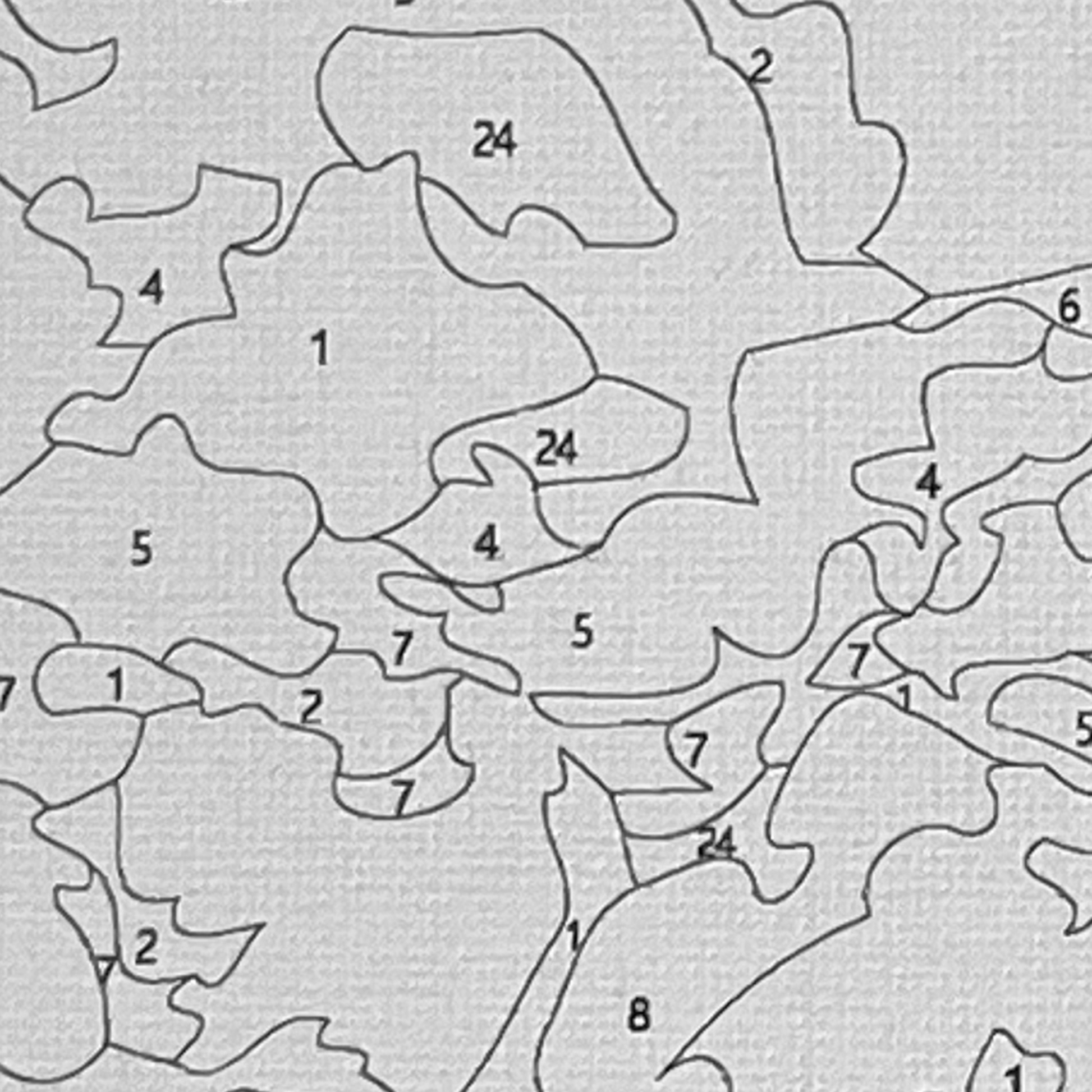 Closeup of paint by number canvas showing canvas texture and numbers