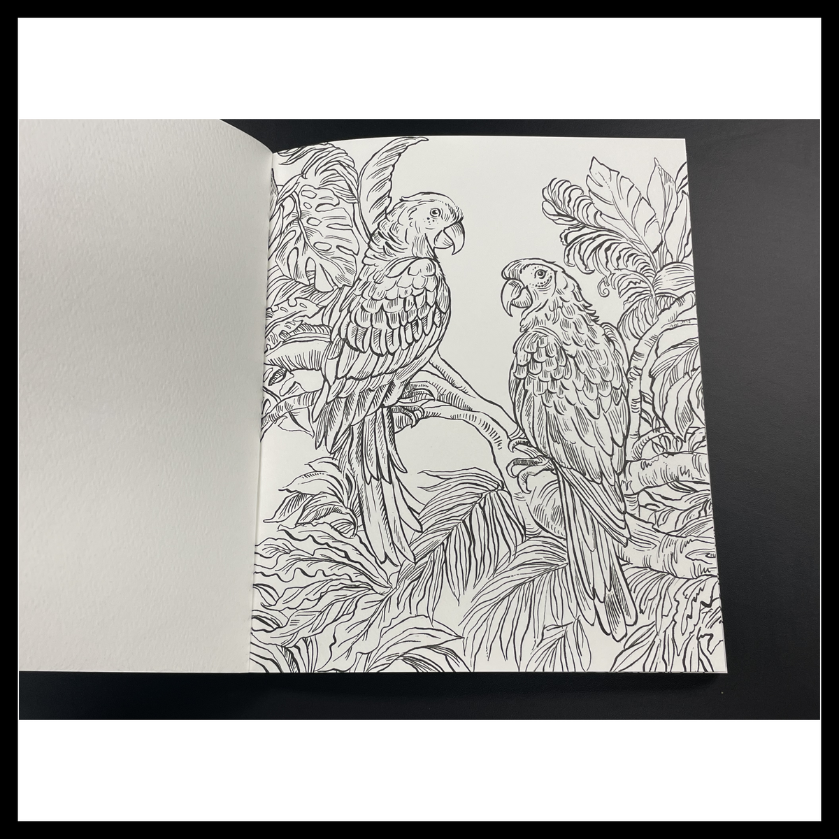 Rainforest Watercolor: A Coloring Workbook