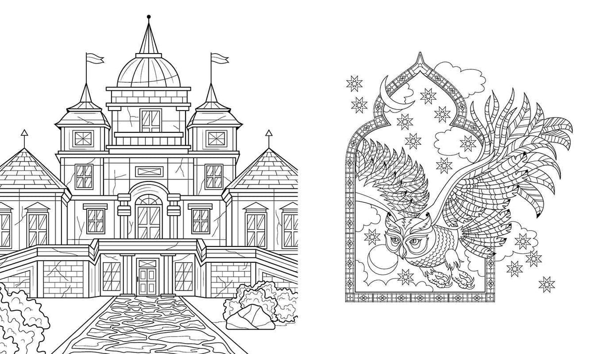 Dark Academia Coloring Book by Rockpool Publishing