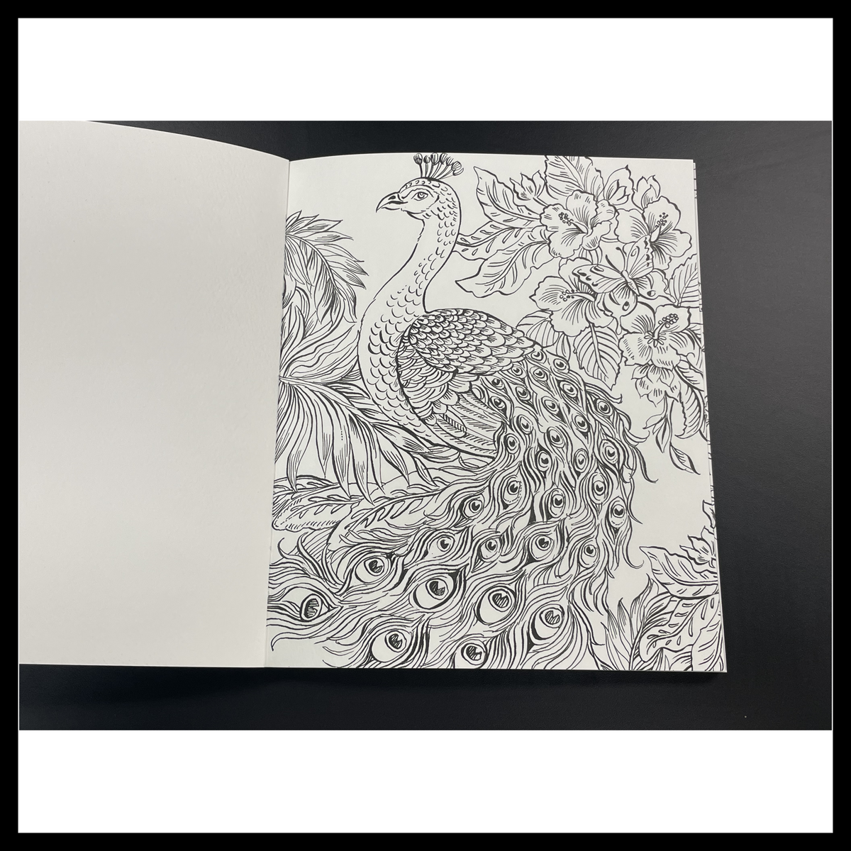 Rainforest Watercolor: A Coloring Workbook