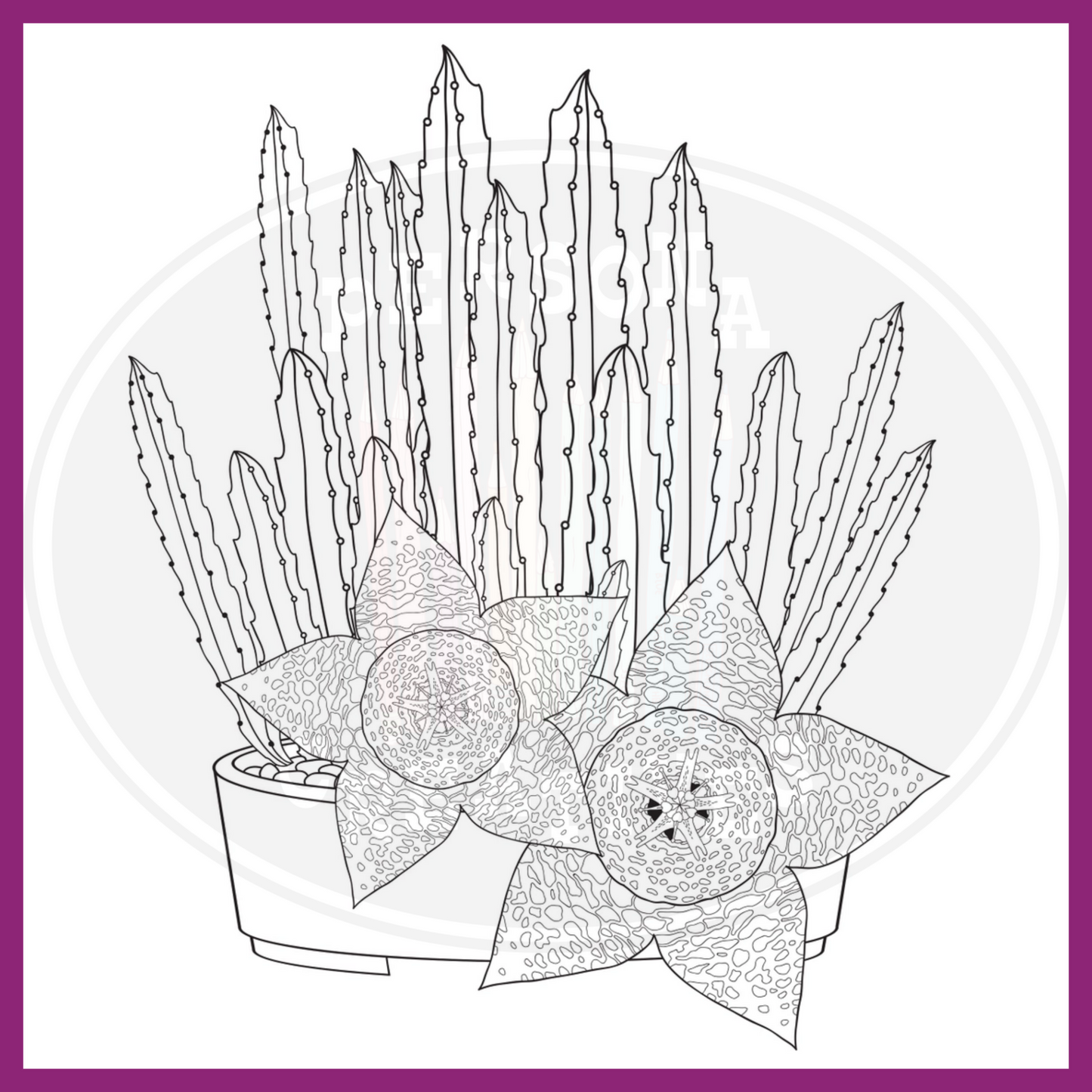 SUCCULENTS COLORING BOOK