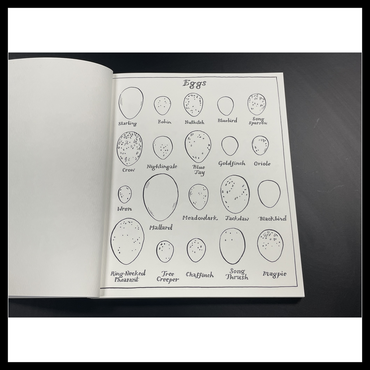 Woodland Watercolor: A Coloring Workbook