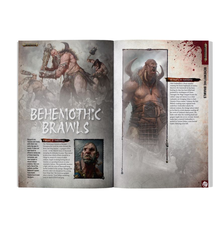 WARHAMMER MAGAZINE WHITE DWARF ISSUE #529