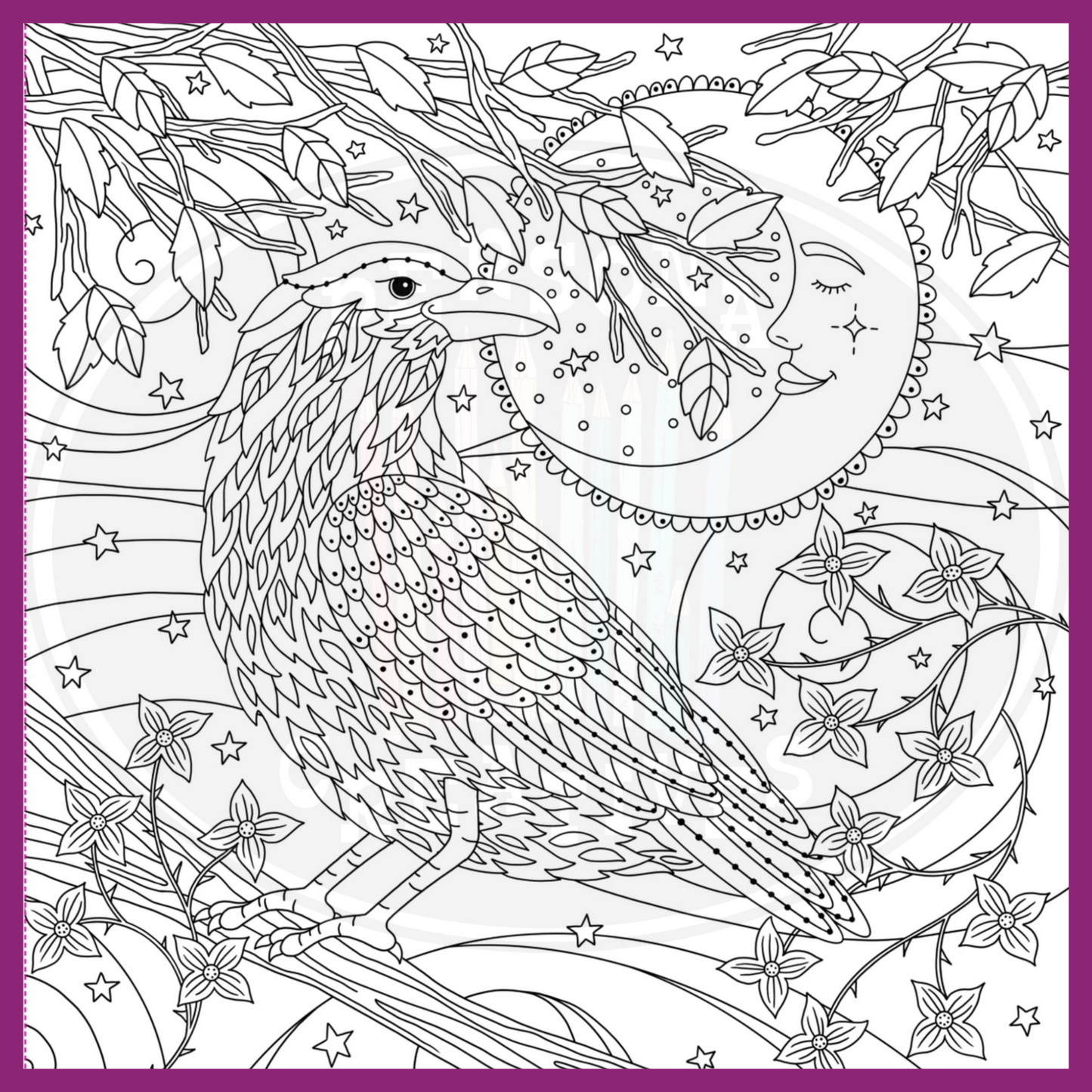 WITCHCRAFT & WONDER COLORING BOOK