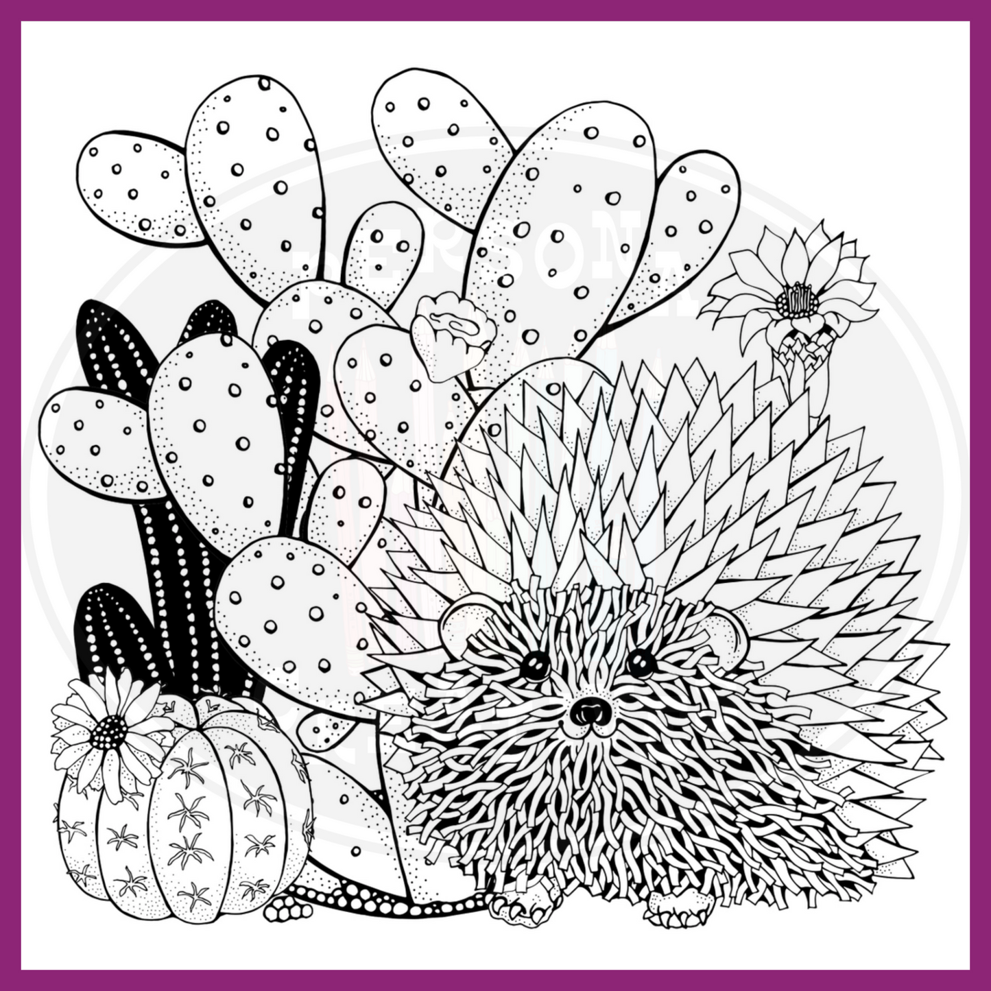 SUCCULENTS COLORING BOOK