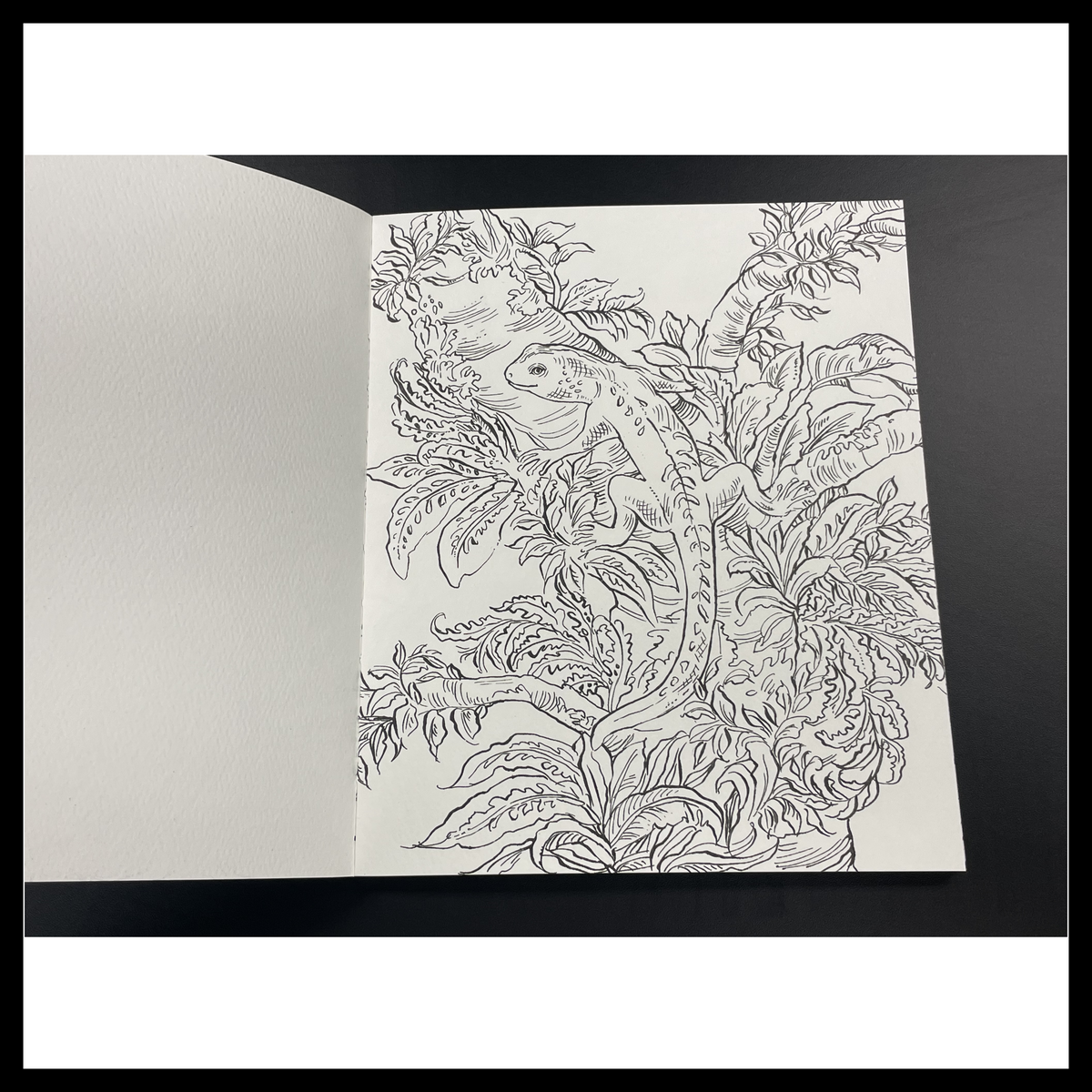 Rainforest Watercolor: A Coloring Workbook
