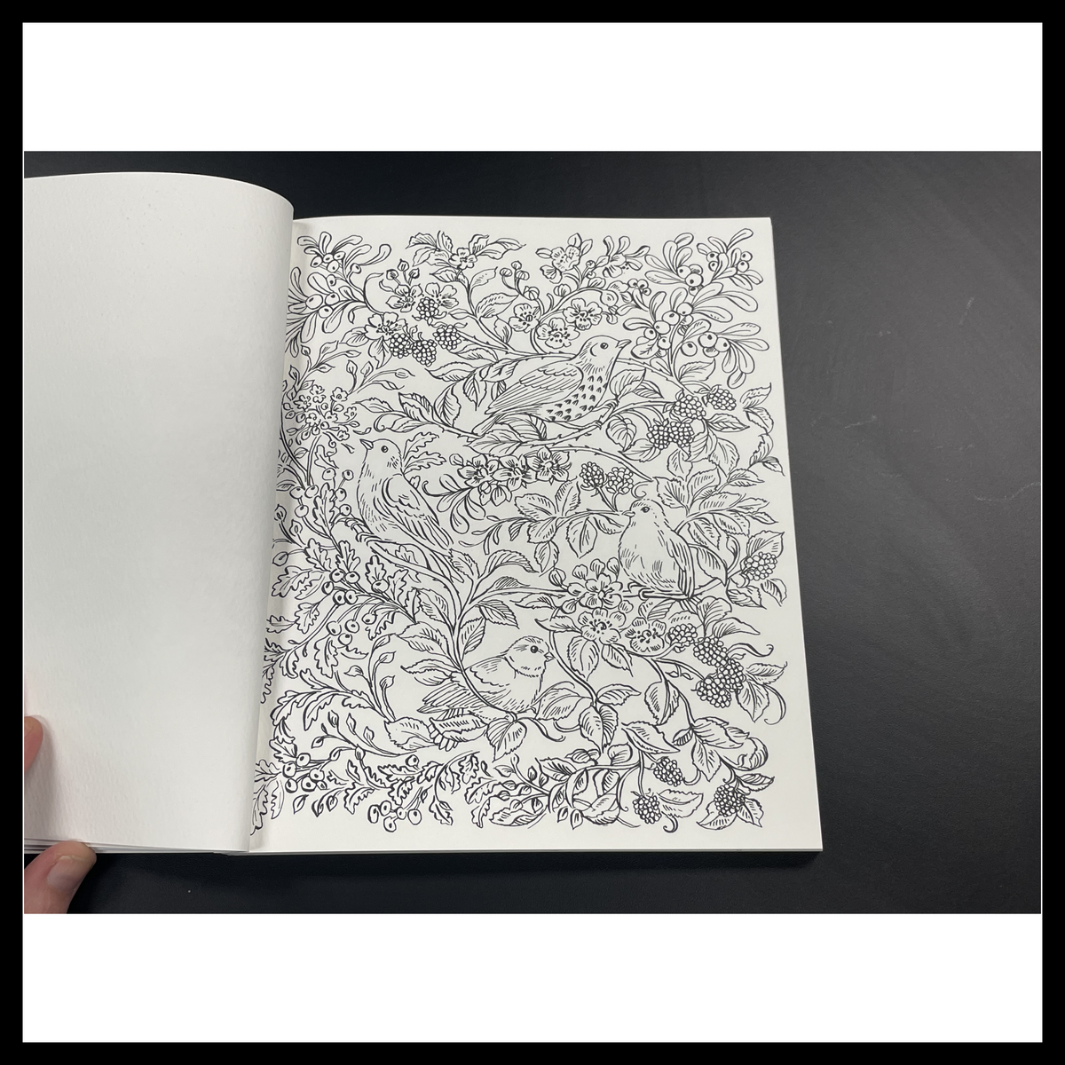 Woodland Watercolor: A Coloring Workbook