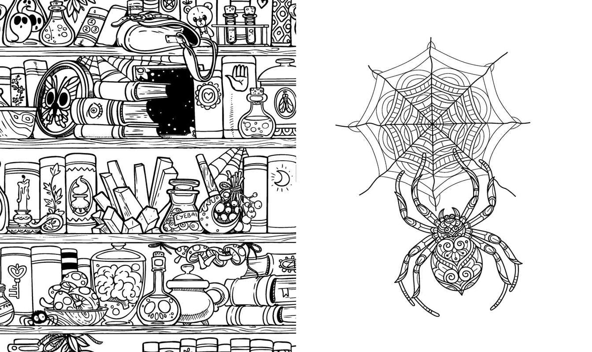 Dark Academia Coloring Book by Rockpool Publishing