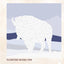 National Parks of N.America AMAZING ANIMALS Sticker Painting
