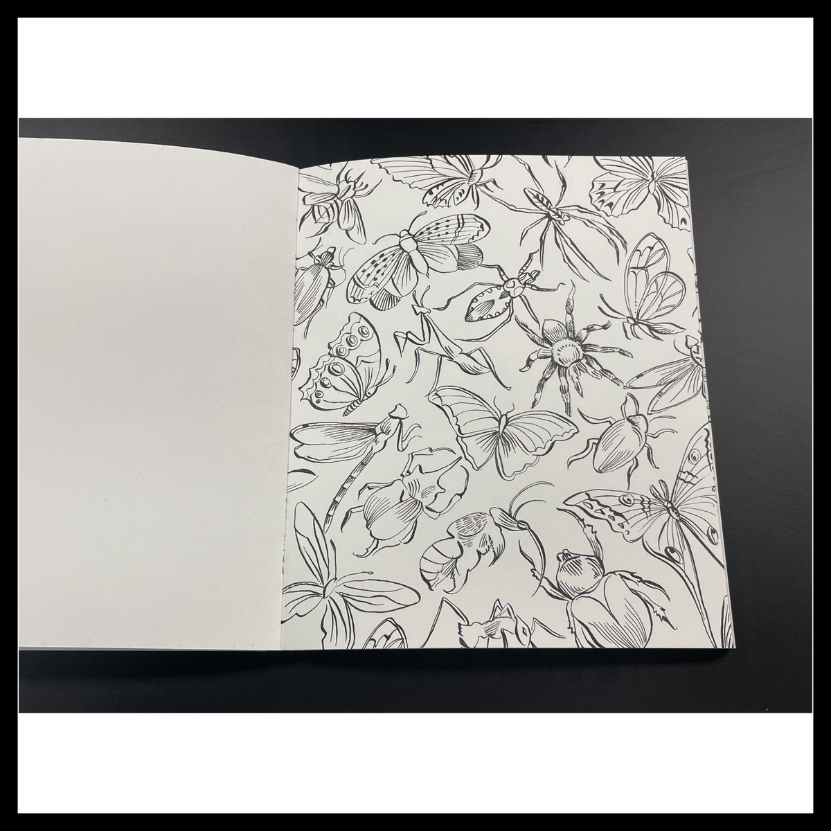 Rainforest Watercolor: A Coloring Workbook