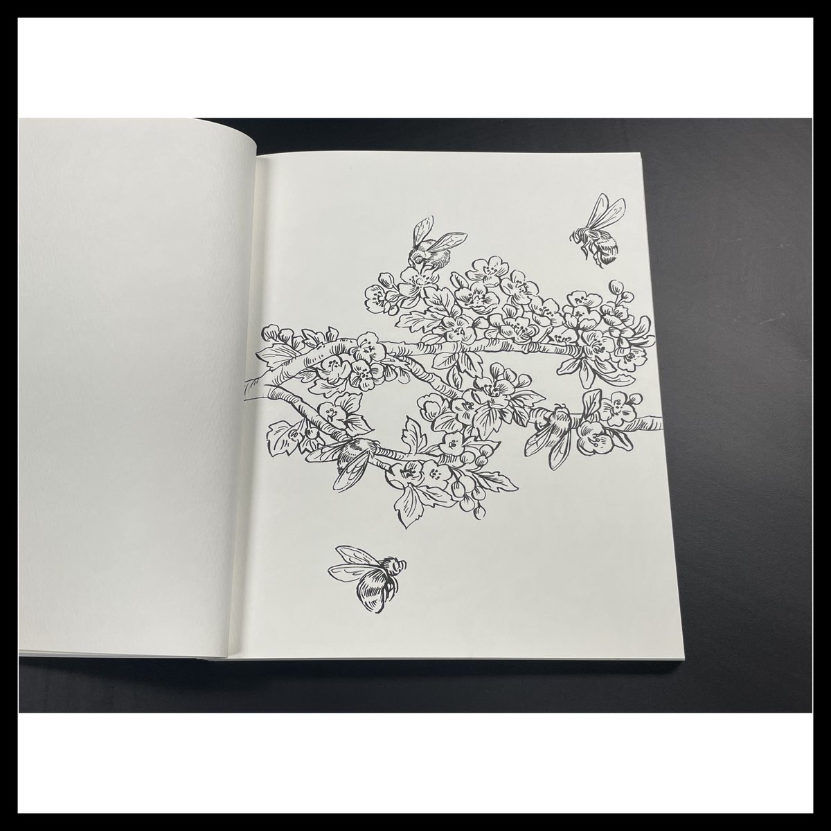 Woodland Watercolor: A Coloring Workbook