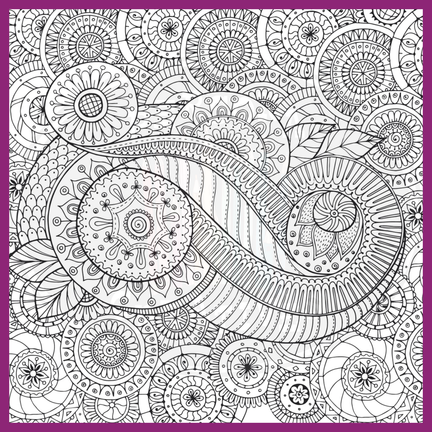 PEACEFUL PAISLEYS COLORING BOOK