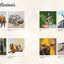 National Parks of N.America AMAZING ANIMALS Sticker Painting