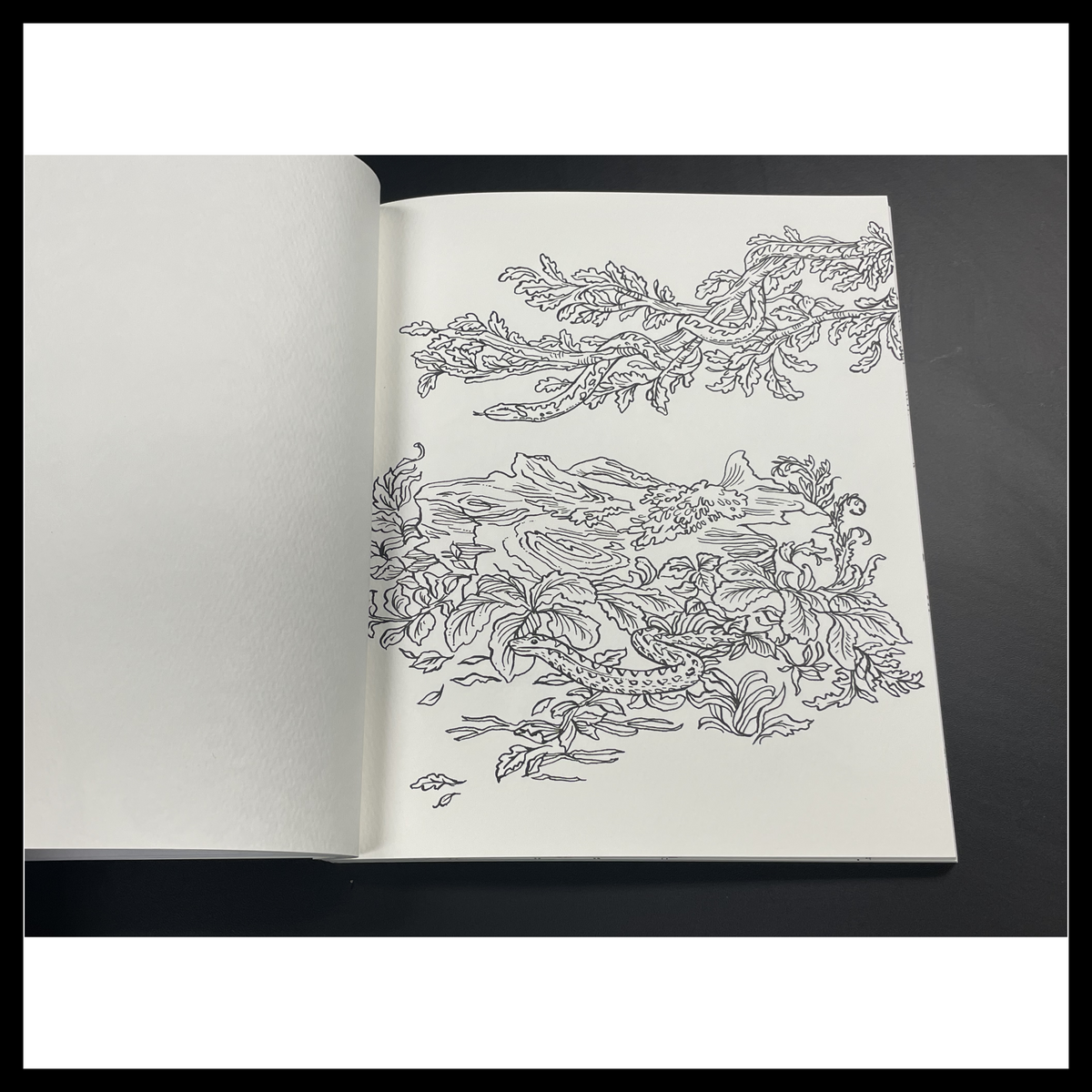 Woodland Watercolor: A Coloring Workbook