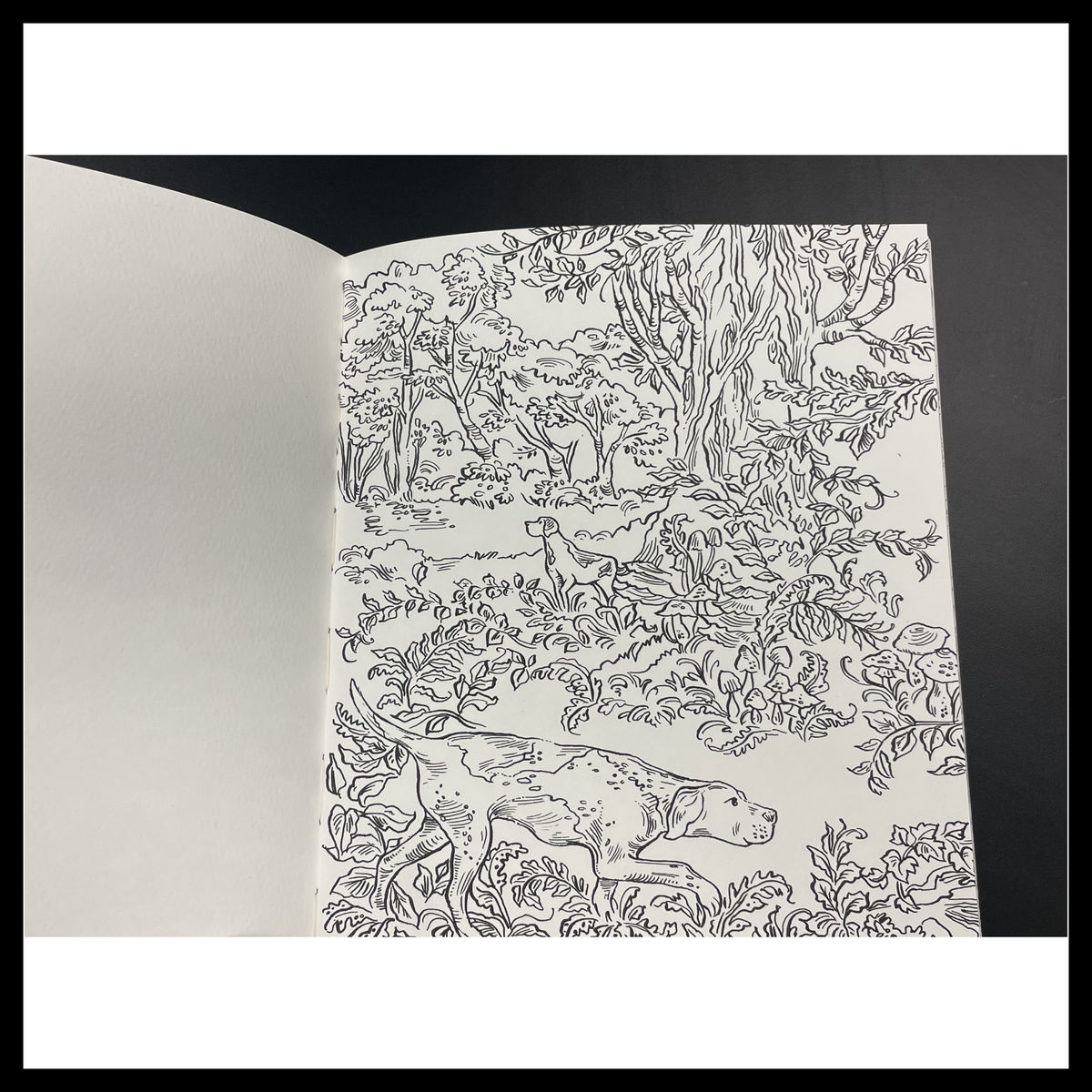 Woodland Watercolor: A Coloring Workbook