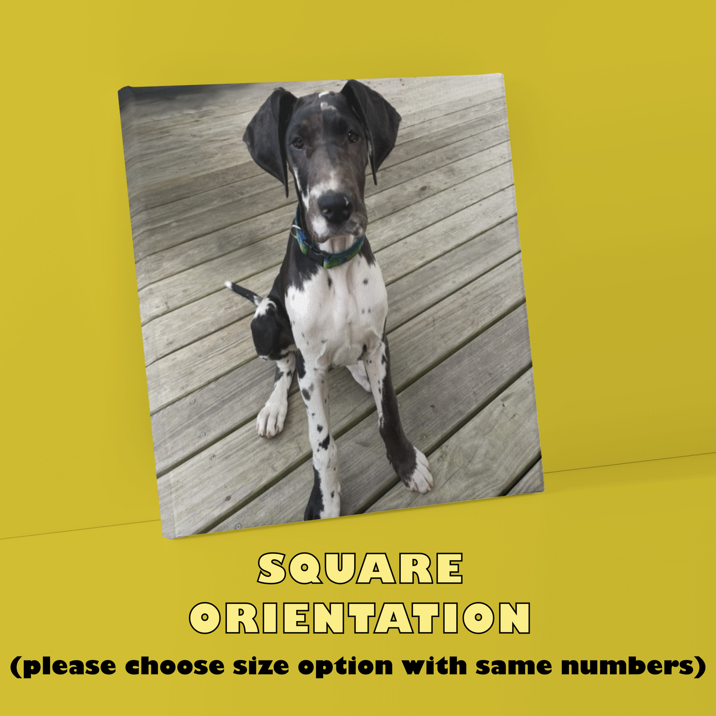 YOUR PHOTO ON QUALITY CANVAS (*make selections for price*)