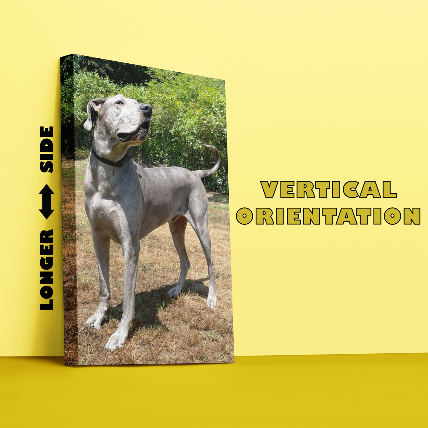 YOUR PHOTO ON QUALITY CANVAS (*make selections for price*)