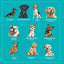 My Sticker Paintings: Dogs - 10 Incredible Canines