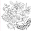 Goth Garden Adult Coloring Book