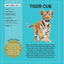 My Sticker Paintings - Baby Animals - 10 Adorable Paintings