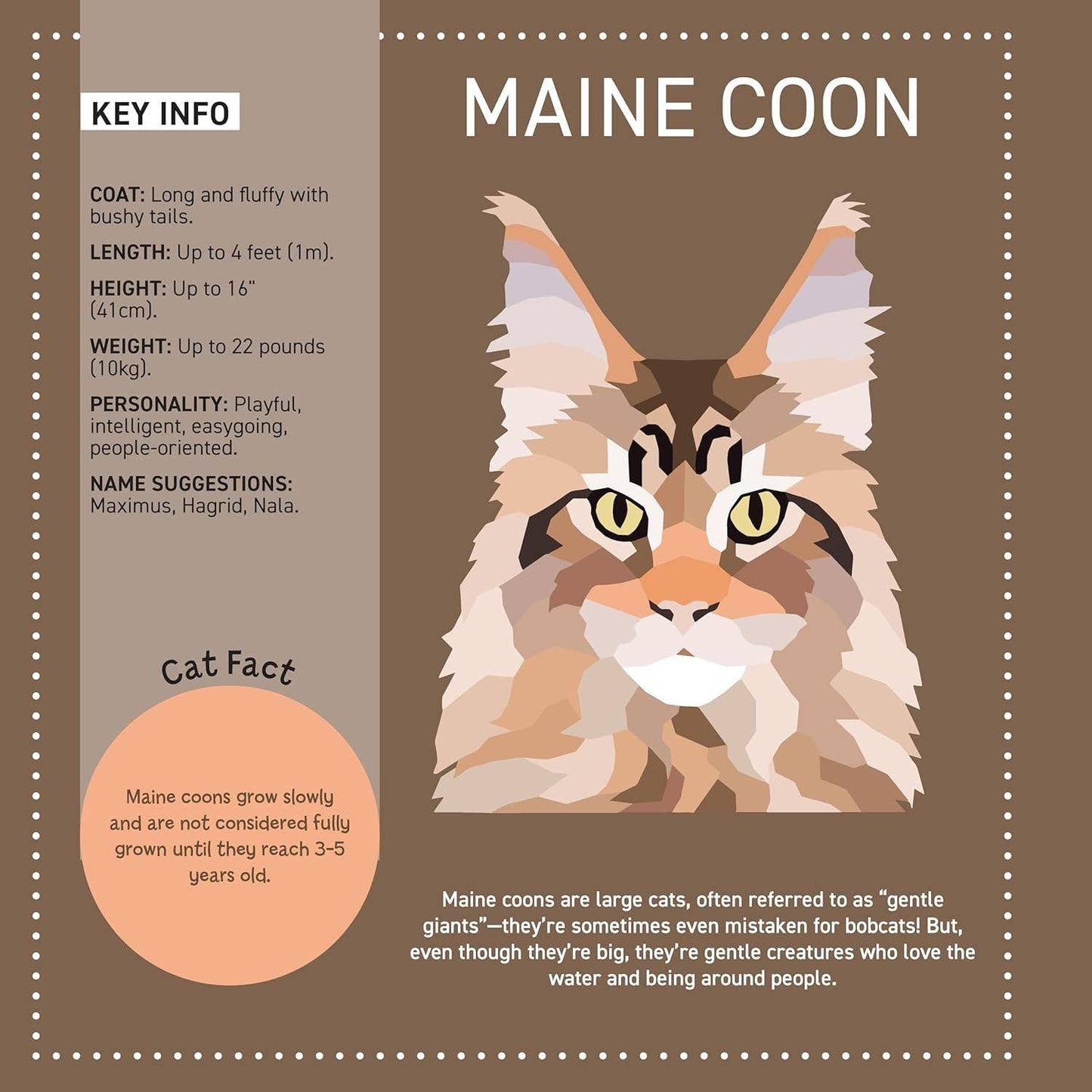 My Sticker Paintings: Cats - 10 Amazing Felines