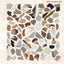 National Parks of N.America AMAZING ANIMALS Sticker Painting